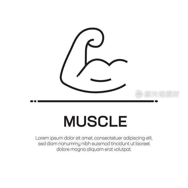 Muscle Vector Line Icon - Simple Thin Line Icon, Premium Quality Design Element